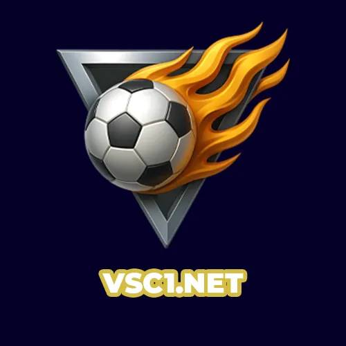Profile photo for @vsc1net