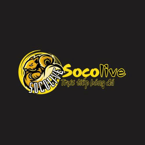 Profile photo for @socolivesorg