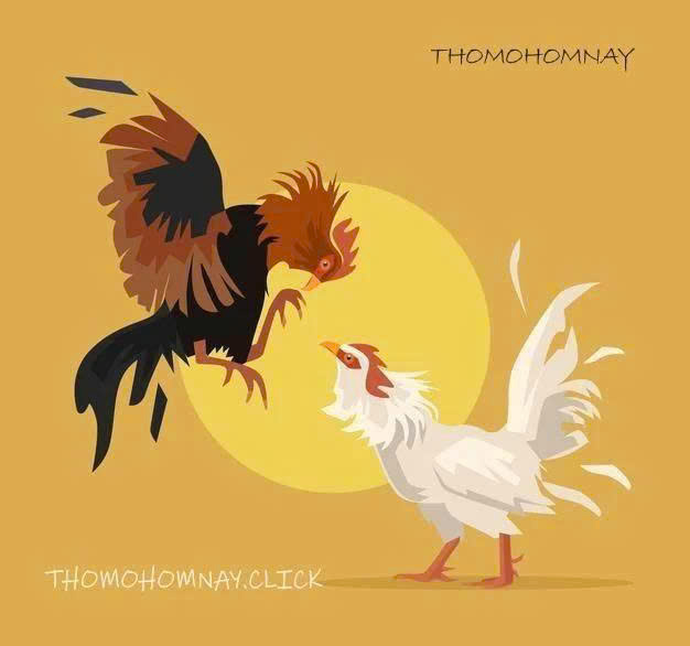 Profile photo for @thomohomnayclick