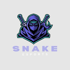 Profile photo for @snakevncom