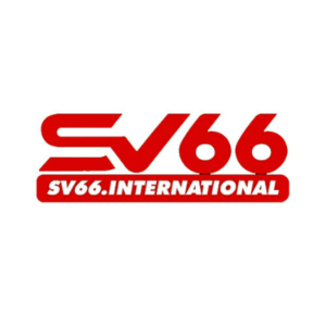 Profile photo for @sv66international
