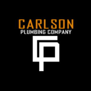 Profile photo for @carlsnplmbng7