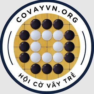Profile photo for @covayvnorg