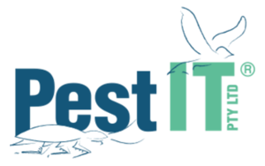 Profile photo for @pestit