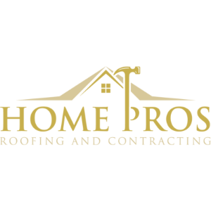 Profile photo for @home-pros-roofing-and-contracting