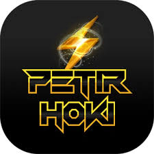 Profile photo for @petirhoki_official
