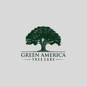 Profile photo for @greenamerica