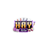 image for link to HAYWIN