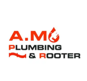 Profile photo for @amplumbingrooter