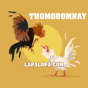 Profile photo for @thomohomnaylapalopa