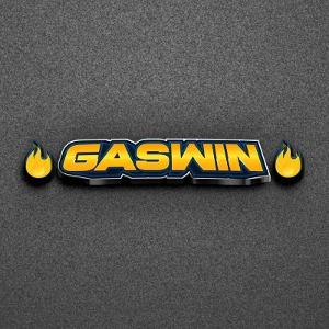 Profile photo for @gaswin
