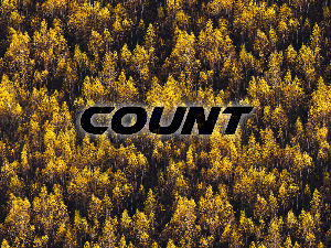 Profile photo for @count._.