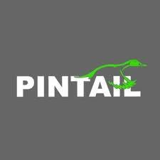 Profile photo for @pintailinc