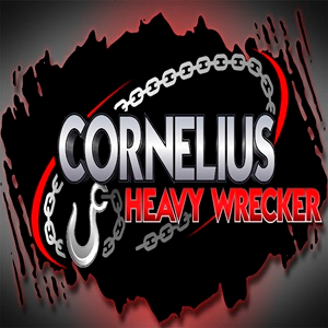 Profile photo for @corneliuswreckermo