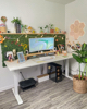 image for link to Standing Desk