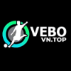 image for link to https://vebovn.top/