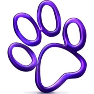 Profile photo for @pawsomepetsuae