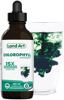image for link to Chlorophyll