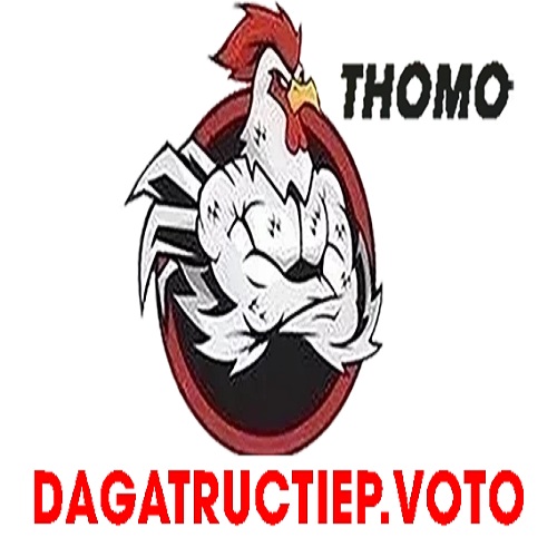 Profile photo for @dagatructiepvoto
