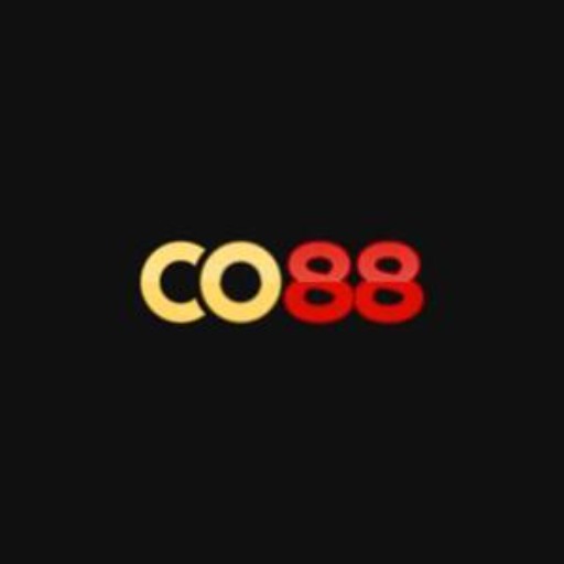 Profile photo for @co88