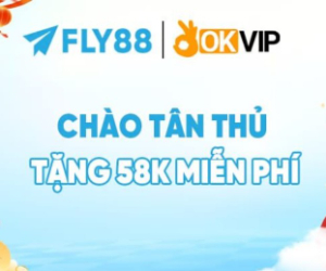 Profile photo for @fly88comlive
