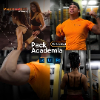 image for link to Presets para Academia