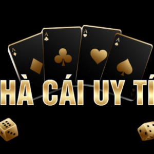 Profile photo for @nhacaiuytin2025