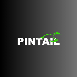 Profile photo for @pintaildancinc