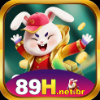 image for link to 89H