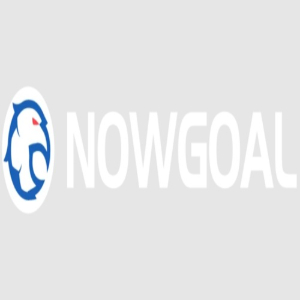Profile photo for @nowgoalswin