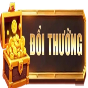 Profile photo for @doithuongcom1