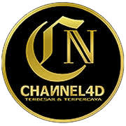 Profile photo for @channel4d