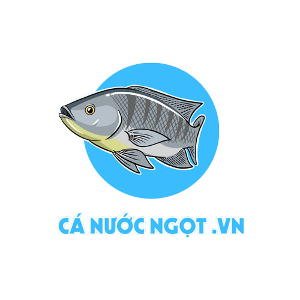 Profile photo for @canuocngot