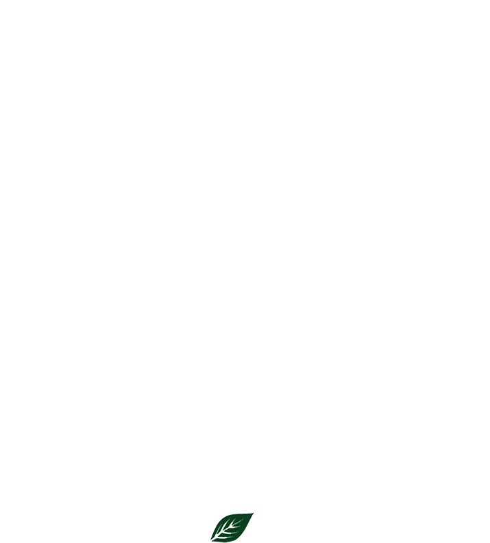 image for link to Secondary Instagram