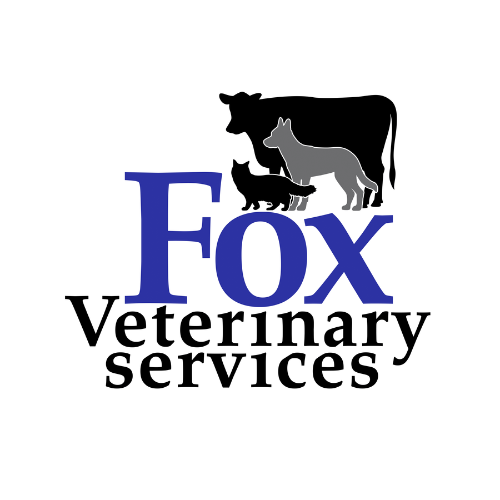 Profile photo for @foxveterinaryservices