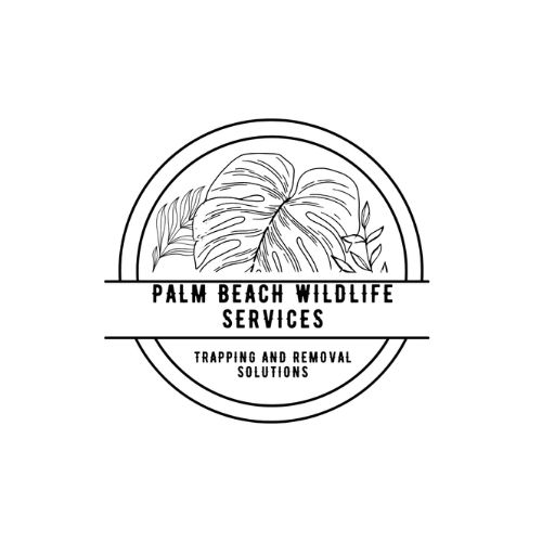 Profile photo for @palmbeachwildlifeservices