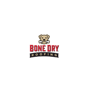 Profile photo for @bonedryroofing001