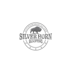 Profile photo for @silverhorn