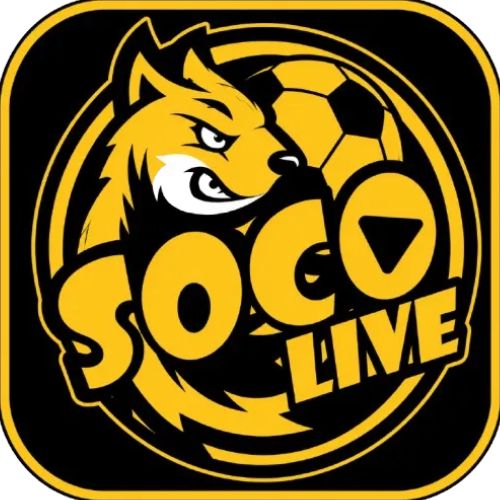 Profile photo for @socolivebaby