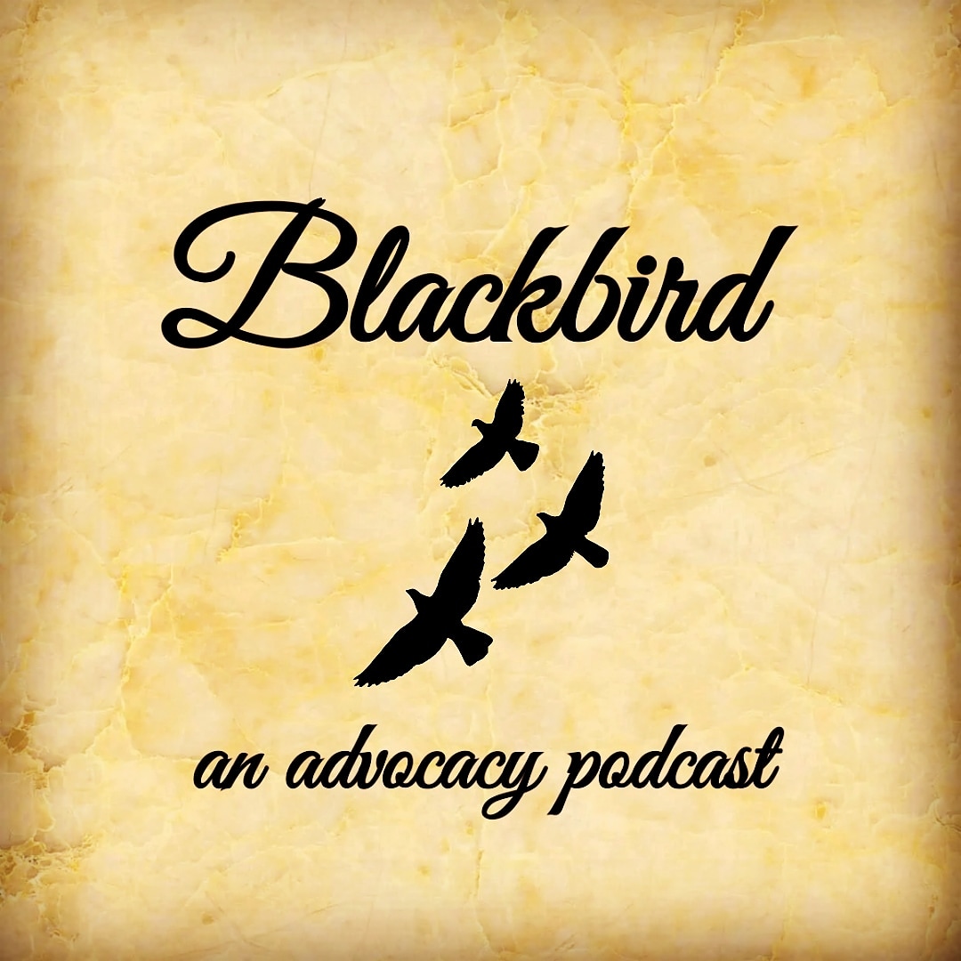 Profile photo for @blackbirdadvocacy