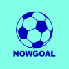 image for link to nowgoalindo.top