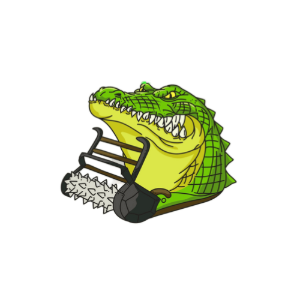 Profile photo for @swampfl