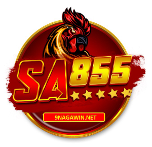 Profile photo for @sa855