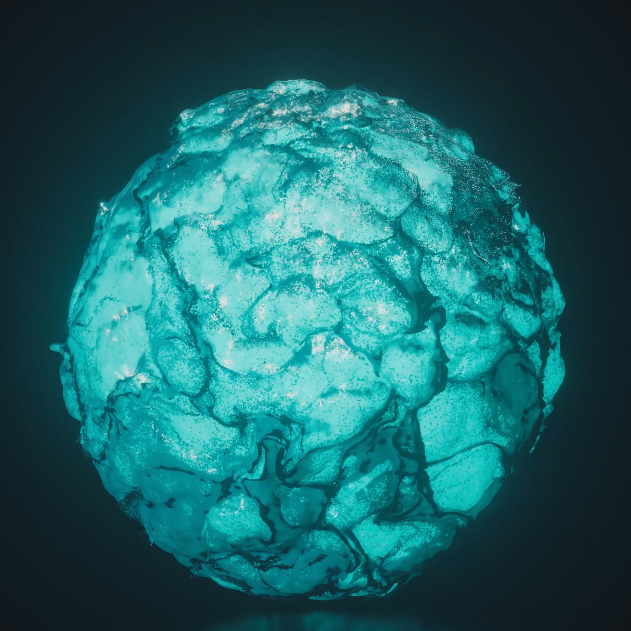 image for link to Website
