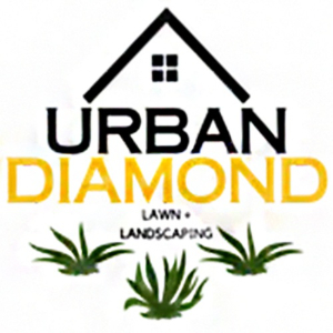 Profile photo for @urbandiamondlawn