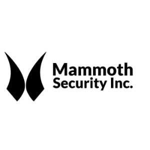 Profile photo for @mammothsecurty0
