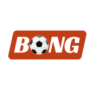 Profile photo for @bongdalu95com