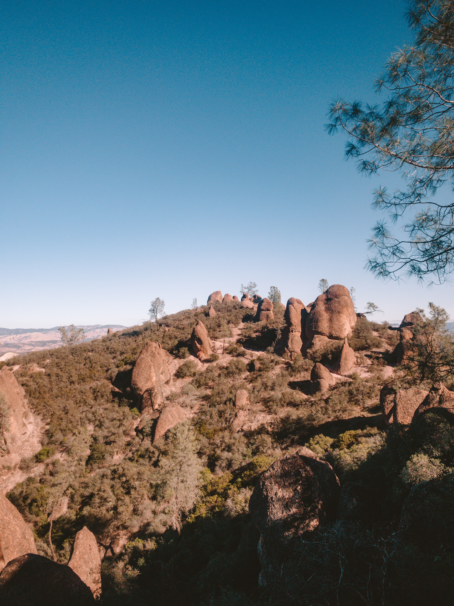 image for link to Pinnacles National Park Itinerary & Guide