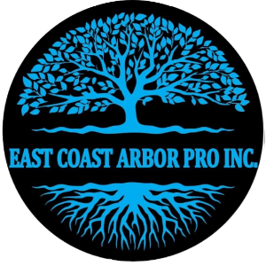 Profile photo for @coastarbor