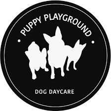 Profile photo for @puppyplaygroundsydney